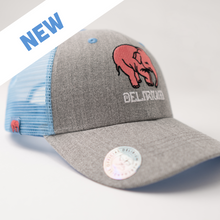 Load image into Gallery viewer, Delirium Cap Limited edition ( Webshop only )